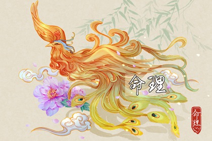 择吉老皇历_老皇历_皇历